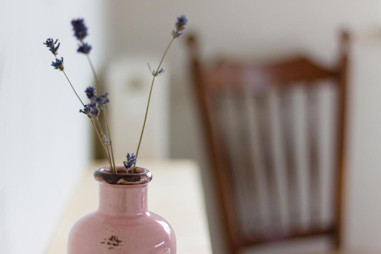 ヴェールト Op D'N Stolberg Bed & Breakfast エクステリア 写真
