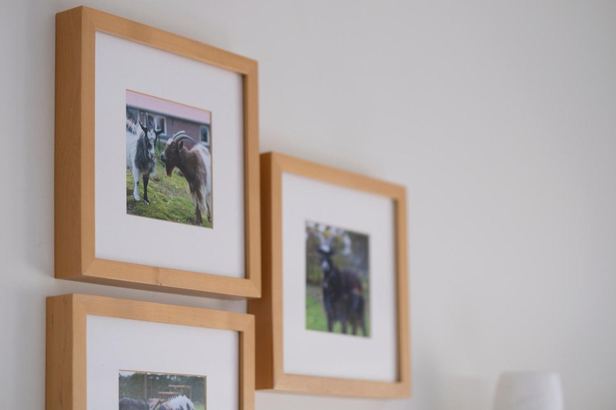 ヴェールト Op D'N Stolberg Bed & Breakfast エクステリア 写真